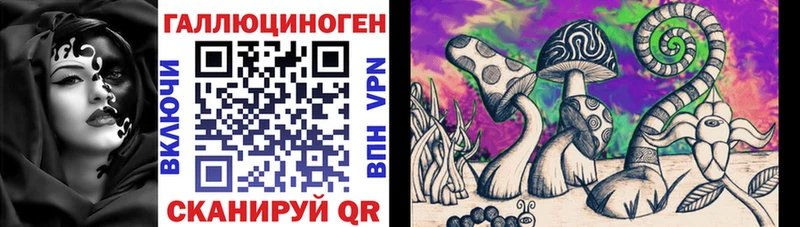 Галлюциногенные грибы MAGIC MUSHROOMS  Купить где  Тейково 